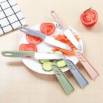 STAINLESS STEEL FRUIT AND VEGETABLE KNIFE