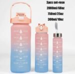 3IN1 MOTIVATIONAL WATER BOTTLE WITH STRAW (2000ml,700ml,300ml)NO BLACK COLOR - Image 5