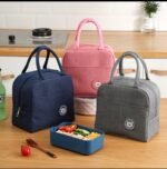 FANCY MINI INSULATED LUNCH BOX DESIGN 7