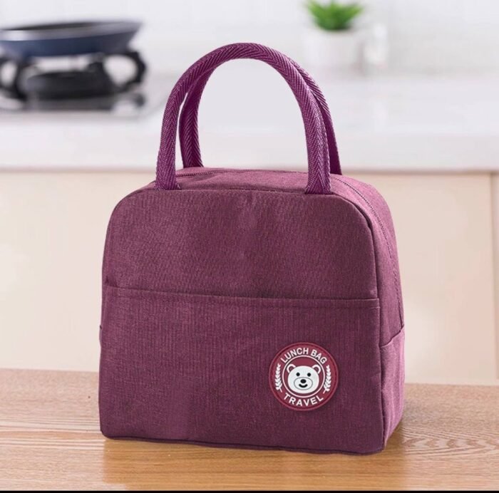 FANCY MINI INSULATED LUNCH BOX DESIGN 7 - Image 5