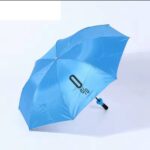 FOLDABLE BOTTLE SHAPE UMBRELLA WITH COLOR BOX
Comes in different colors - Image 3