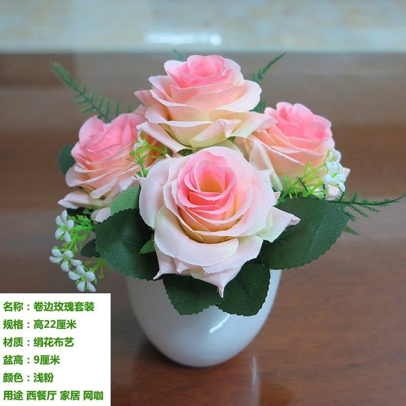 img_1892 GIFTY POTTED PLANT HOME AND OFFICE DECOR 5 - Image 1