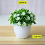 RYAN POTTED PLANT HOME AND OFFICE DECOR 11 - Image 5