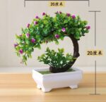 DRAVY POTTED PLANT HOME AND OFFICE DECOR 10