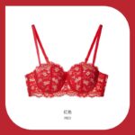 CAMPARI LACEY PADDED PUSH UP BRA - Image 2