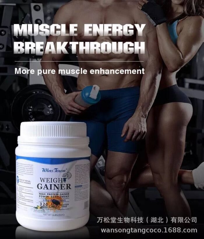 WEIGHT GAINER (HIGH PROTEIN GAINER POWER SUPPLEMENT)SIZE:450gram - Image 3