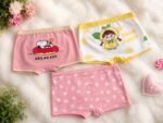 3PC QUALITY FEMALE BOXER(The teenage designs are not with babyish characters)Comes in various beautiful designs to be mixed randomly