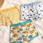 3PC QUALITY CUTE ELASTIC/BANDED WAIST MALE BOXER (The teenage designs are not with babyish characters)Comes in various beautiful designs to be mixed randomly