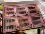 BEAUTIFUL CLASSY FRENCH TIP CHECK BOARD AND STAR DESIGN CAT EYE 👁️ GLITTERING PRESS ON NAIL(We have beautiful colors,we will pick randomly) - Image 2
